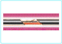 �D�Ƿx���� �����u�ιq�`��