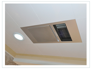 �������D�Ƿx����